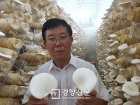 탈북인 출신 김유송씨 대왕버섯 대량재배 성공