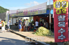 이것 팔아 활기 찾은 시골마을…