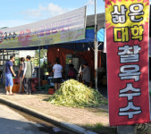 “단골 1000여명…옥수수 팔아 연 1억 벌어유”
