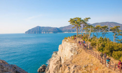 거제 ‘지심도’ 관광지로 부활