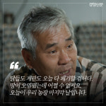 친환경 양계농장의 3150일, 그 마지막 날[카드뉴스]