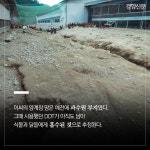 친환경 양계농장의 3150일, 그 마지막 날[카드뉴스]