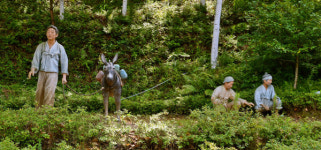 (12) 강원도 평창군 봉평 - 다시, 메밀꽃 필 무렵[도시를 읽다]