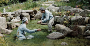 (12) 강원도 평창군 봉평 - 다시, 메밀꽃 필 무렵[도시를 읽다]