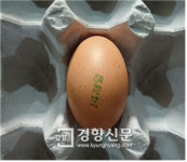 부산 지역 계란서 또 ‘살충제’ 검출