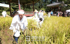 [경향포토]벼배기 나선 어르신