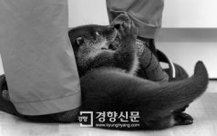 상처 입은 야생동물이 치료·재활하는 야생동물의료센터[기타뉴스]