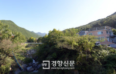상처 입은 야생동물이 치료·재활하는 야생동물의료센터[기타뉴스]