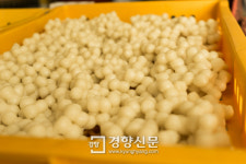 신야지떡방아간 | 동양방아간…멀리 타향에서도 찾는 옛날 그맛[서울 그집 ‘오래가게’]