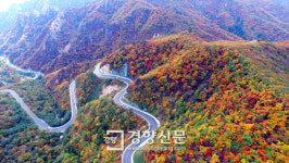 한계령 가득한 단풍[경향포토]