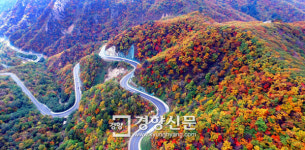 굽이굽이 한계령의 ‘오색 유혹’[포토뉴스]