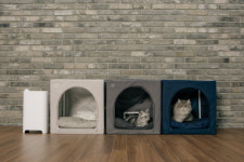 펫 드라이룸 ‘두잇 드라이하우스’, 크라우드펀딩 1억원 돌파