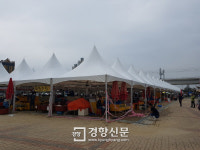 공원 훼손·불법 어시장 조성…‘법 위에 있는 소래포구 상인들’