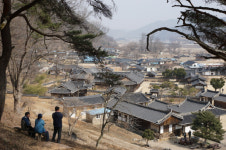 선비길·아침햇살길·소몰이살피길···가을 정취 가득한 마을길 4곳