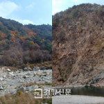 [르포]환피아의 묵인이 만든 낙동강 상류의 중금속 마을, 경북 석포제련소 가보니