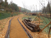 ‘혐오시설 단지를 생태공간으로’ 아산시, 환경과학공원에 곤충 생태공원 조성[아산시]