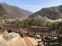 춘천 ‘강촌 밤나무 추억길’ 전망대 설치[춘천시]