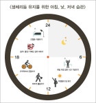 아침부터 밤까지…생체리듬 유지 노하우