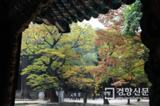 전통찻집 ‘지대방’…35년 자리 지킨 인사동 ‘터줏대감’[서울 그집 ‘오래가게’]