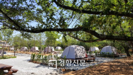 다시 태어나는 폐교…봉화에 7번째 서울캠핑장 생긴다