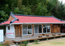 푸릇한 겨울에 놀라고, 샛노란 유자향에 물들고…남해의 이색 겨울