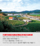 5G가 오지로 간 까닭은?