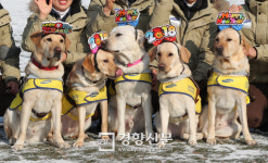 [경향포토]2018 개띠해에는 안내견이 됩니다