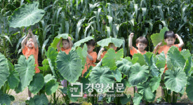 앞으로 500세대 이상 아파트 지을 때에는 ‘국공립어린이집’ 설치 의무화···정부 ‘제3차 중장기 보육 기본계획’ 발표