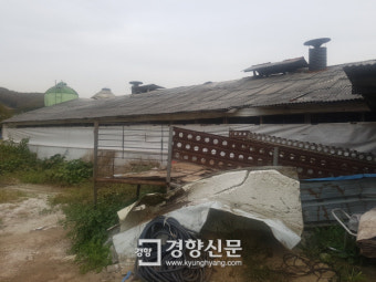 [용인시]포곡·모현 축사 악취관리지역 지정 추진
