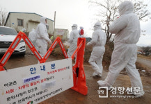 전남 장흥 오리 농가에서 AI 항원 검출...고병원성 여부 확인중