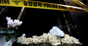 여관 앞에 놓인 국화꽃[경향포토]