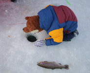 너, 내가 찍었어…겨울에 푹 빠진 ‘대관령 목장’