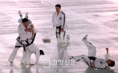 합동 공연 펼치는 남북 태권도 시범단[경향포토]
