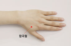‘합곡혈’ 전신의 기혈 순환…급체 풀어주고 호흡기 질환에 효과[송미연의 촌철지압]