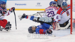 집념의 슛[경향포토]