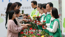 희망의 나무 나누어 드려요[경향포토]