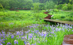 [경기도]가정의 달 5월, 가볼만한 수목원 5곳