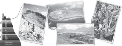 2100년, ‘키프’들이 살 세상은 어떤 모습일까[책과 삶]