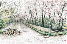 [윤희철의 건축스케치]숲속의 섬