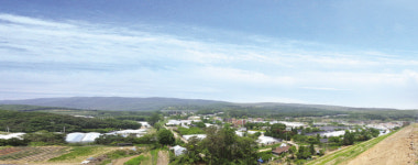 성남 금토 임야 15필지 매각