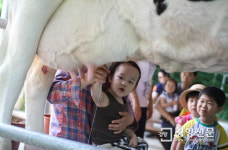 “송아지와 눈을 맞춰봐요”···동물과 교감할 수 있는 ‘체험목장’ 5선