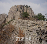 [이기환의 흔적의 역사] 주류성이 항복했구나! 백제의 이름이 끊겼구나!