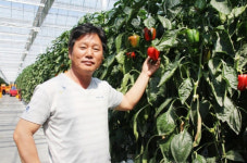 “스마트폰으로 안개분사기 켜서 온실 온도 조절…토마토 농사, 노동력 줄이고 생산성은 높였죠”