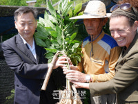 우리인삼약초사 | 우리나라 전통인삼농업, 세계중요농업유산 등재...인삼농업 중 세계 최초