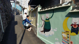길고양이와 공존 꿈꾼다 춘천 효자1동 고양이와 함께하는 마을 조성[춘천시]