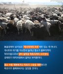 공공성의 회복은 경제도 살리고 사람도 살린다