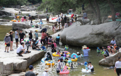 선유동식당자판기 | 선유동계곡 찾은 피서객[경향포토]
