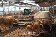 대청호 상류지역 가축분뇨 수거 “친환경 퇴비 만들어 오염 막아요”