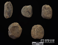 2만9000년전 가장 오래된 그물추가 강원도 정선에서 발굴됐다