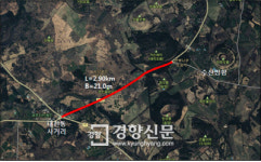 수그러들지 않는 제주 비자림로 확장공사 논란…제2공항도 가세